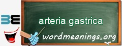 WordMeaning blackboard for arteria gastrica